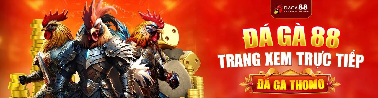 Đá Gà Trực Tuyến 999ok